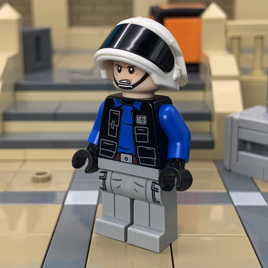 Fleet Trooper Variants